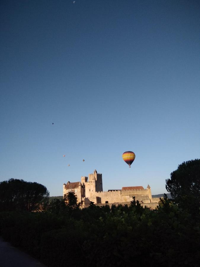 Maison En Perigord Proche Beynac Et Sarlat Cénac-et-Saint-Julien Esterno foto