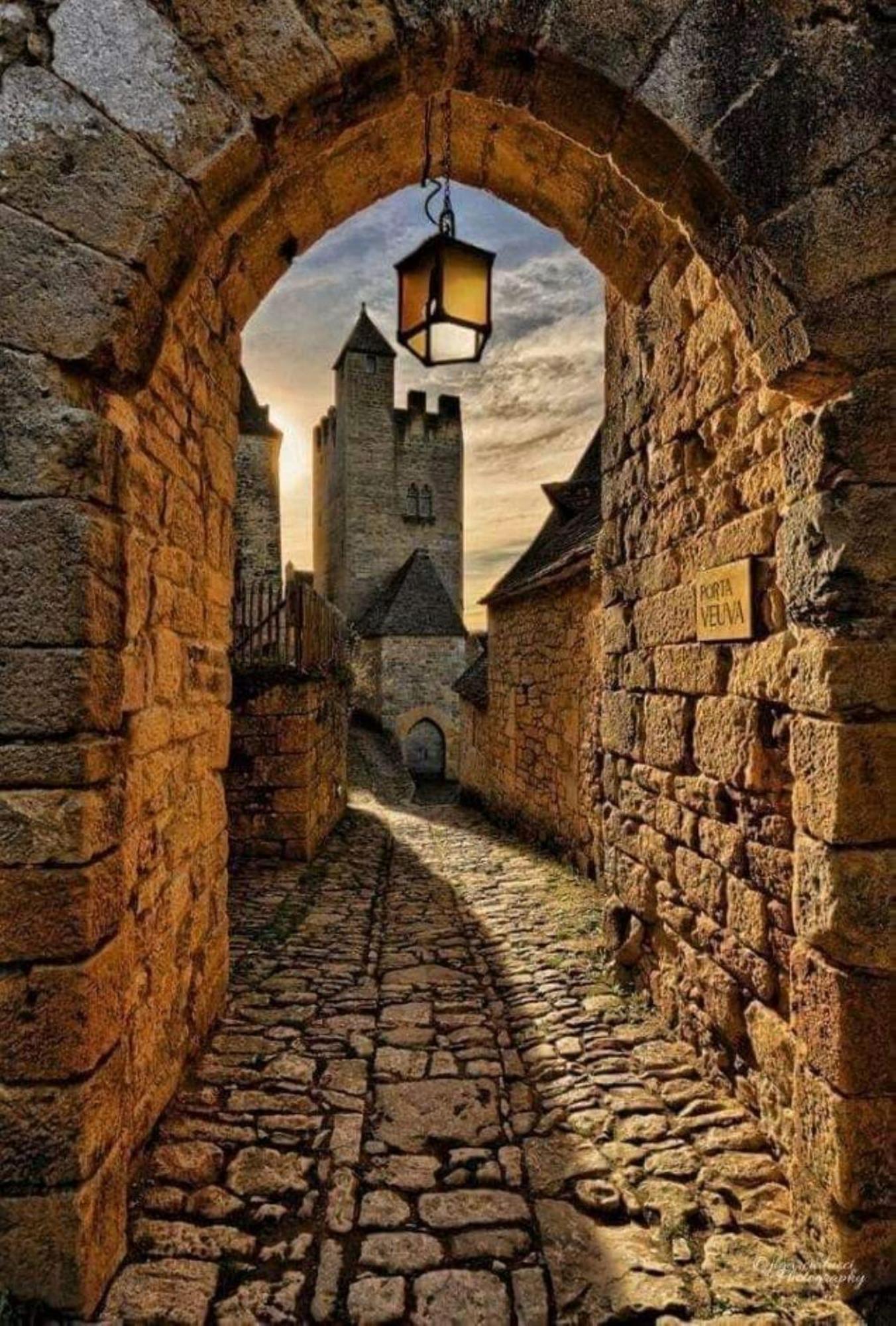 Maison En Perigord Proche Beynac Et Sarlat Cénac-et-Saint-Julien Esterno foto