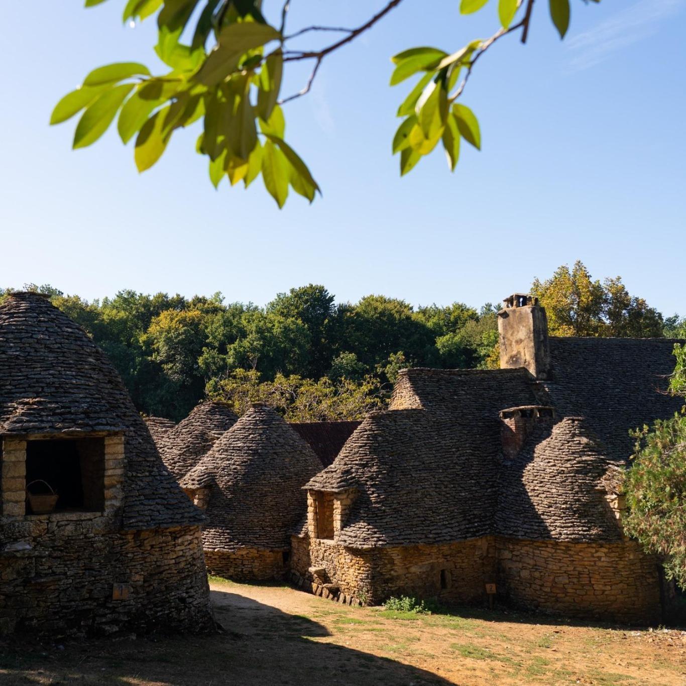 Maison En Perigord Proche Beynac Et Sarlat Cénac-et-Saint-Julien Esterno foto